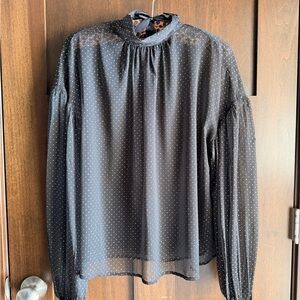 Sanctuary (purchased at Evereve) Sheer Volume Metallic Blouse